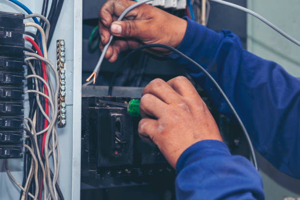Best Home Electrical Repair  in Deerfield, MI
