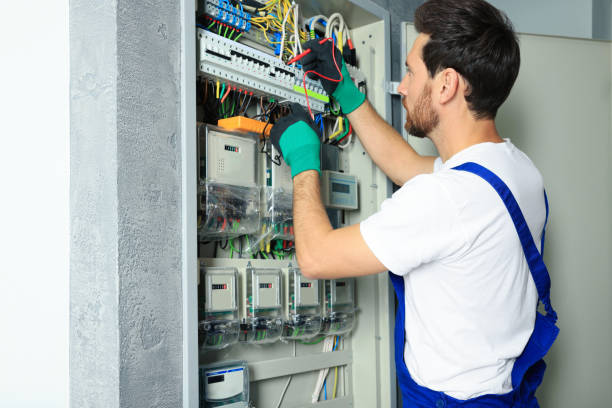 Best Industrial Electrical Services  in Deerfield, MI