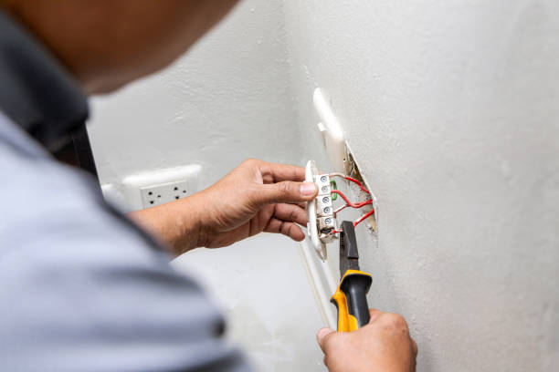 Best Electrician for Home Renovation  in Deerfield, MI
