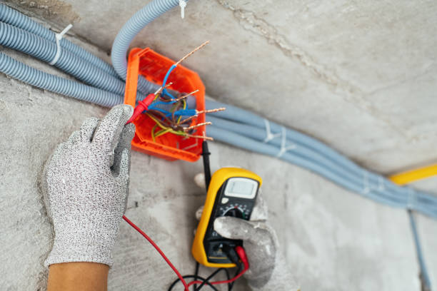 Best Electrician for Home Renovation  in Deerfield, MI